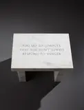 Jenny Holzer, Selections from Survival: You Are So Complex that You Don't Always Respond to Danger