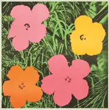 Andy Warhol, Flowers, 1964, Farboffsetlithographie auf Papier