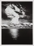 Robert Longo, Ivy Mike