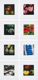 Donald Sultan, Fruit, Flowers and a Fish, 1989-1991, The complete set of 8 screenprints in colours, on Arches 88 paper, with full margins