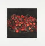Cherries by Donald Sultan, 1988, Screenprint in colors, on wove paper, with full margins,, offered Oct 2015