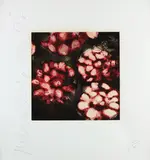 Roses by Donald Sultan, 1992, Screenprint in colors, on wove paper, with full margins,, offered Oct 2015