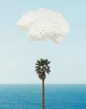 Brain/Cloud (With Seascape and Palm Tree) by John Baldessari, 2009, Archival inkjet print in colors, on Hahnemühle photo rag paper, the full sheet,, sold Oct 2015