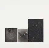 Vija Celmins, Concentric Bearings, C