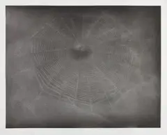 Untitled (Web 3) by Vija Celmins, 2003, Aquatint with burnishing, scraping and drypoint, on Hahnemühle Copperplate paper, with full margins,, sold Oct 2015