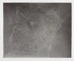 Untitled (Web 4) by Vija Celmins, 2002, Photogravure with burnishing and drypoint on Hahnemühle Copperplate paper, with full margins,, sold Oct 2015