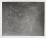 Vija Celmins, Untitled (Web 4), 2002, Photogravure with burnishing and drypoint on Hahnemühle Copperplate paper, with full margins,