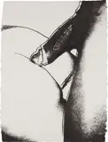 Andy Warhol, Sex Parts: one plate, 1978, Screenprint, on HMP paper, the full sheet,