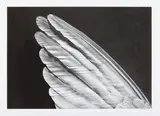 Angels Wing (small version) by Robert Longo, 2013, Archival pigment print, on Epson Exhibition paper, with full margins,, sold Oct 2015