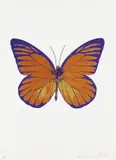 Prairie Copper/Oriental Gold/Imperial Purple, from The Souls I by Damien Hirst, 2010, Foil block print in colors, on Arches 88 Archival paper, with full margins,, sold Oct 2015