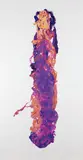 Adam Fuss, Untitled