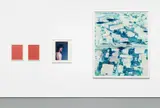 Torino Installation by Wolfgang Tillmans, 2002, Four chromogenic prints: (i) Impossible Colour I , 2001 Unique chromogenic print 20 x 16 in. (50.8 x 40.6 cm) (ii) Impos, sold Apr 2015