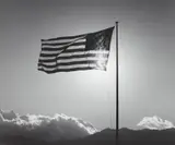 Flag by Robert Mapplethorpe, 1987, Gelatin silver print, sold Apr 2015