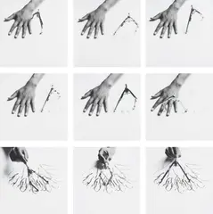 Ballad to Ballet by Robin Rhode, 2008, Nine pigment prints, offered Apr 2015