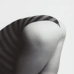 Lisa Lyon by Robert Mapplethorpe, 1982, Gelatin silver print, sold Apr 2015