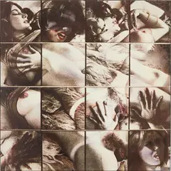 Robert Heinecken, Vary Cliché/Lesbianism, 1978, Lithograph from Vary Cliché