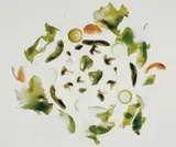 Robert Heinecken, Fast Foods Mixed Green Salad (Lettuce, tomatoes, zucchini, mushrooms, broccoli, avocado, onions)