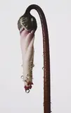 Persian Violet Cyclamen/ Cyclamen persicum (New York) by Irving Penn, circa 1973, Pigment print, printed 2006, sold Apr 2015