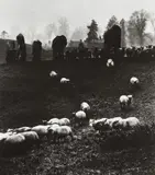 Bill Brandt, Avebury Stone Circle, Wiltshire