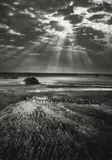 Sebastião Salgado, Kafue National Park, Zambia