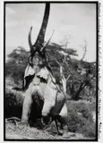 Peter Beard, Elephant reaching for the last branch on a tree, Kenya, 1960, Gelatin silver print with ink from Camera Work Portfolio , printed 1998