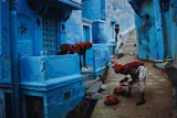 Steve McCurry, Jodhpur, India (Fruit vendors)