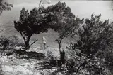 Hippy Hollow, Lake Travis, Austin, Texas by Garry Winogrand, 1973, Gelatin silver print, sold Apr 2015
