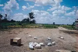 Black Bayou Plantation by William Eggleston, circa 1970, Dye transfer print, printed 1980, sold Apr 2015