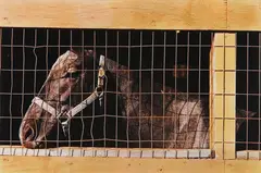 Untitled (Arkansas) by William Eggleston, 1992, Dye transfer print, offered Apr 2015