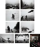 Hiroshi Sugimoto, The Origins of Love, 8 duotone offset prints and 1 inkjet print