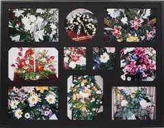 Robert Beck, The Flowers of Upheaval (Apart from the Whole), 2006, 10 chromogenic prints, in artist's frame