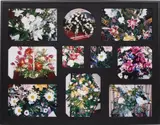 Robert Beck, The Flowers of Upheaval (Apart from the Whole), 2006, 10 chromogenic prints, in artist's frame