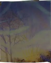 John Chiara, Old River Road at Seven Chimneys, 2014, Unique dye destruction print