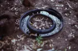 Gabriel Orozco, Round Mirror Distance
