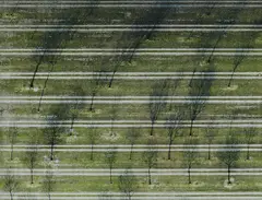 Andreas Gefeller, Untitled (Parking Site), Düsseldorf, 2007, Digital chromogenic print