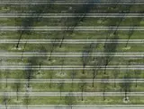 Andreas Gefeller, Untitled (Parking Site), Düsseldorf, 2007, Digital chromogenic print