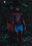 Ruud van Empel, Moon #2