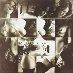 Robert Heinecken, Vary Cliché/ Autoeroticism, 1974, Lithograph from Vary Cliché , printed 1978