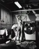 Domestic Nude III, In the Laundry Room of the Château Marmont, Hollywood by Helmut Newton, 1992, Gelatin silver print, offered Oct 2015