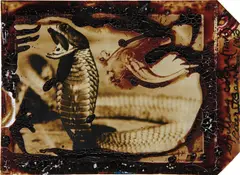 Spitting Cobra (Tsavo) by Peter Beard, 1960, Polaroid print with blood, printed later, offered Oct 2015