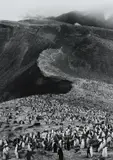 Sebastião Salgado, Chinstrap Penguins (Pygoscelis Antarctica), Deception Island, Antarctica, 2005, Gelatin silver print, printed later