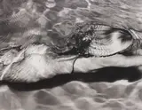 Michael Dweck, Mermaid 1, 2005, Gelatin silver print