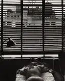 Edward Weston, Nude, New York