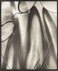 Translucidités by Pierre Dubreuil, circa 1930, Palladium print, printed later, sold Oct 2015