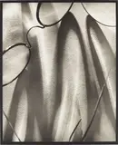 Pierre Dubreuil, Translucidités, circa 1930, Palladium print, printed later