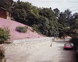 Joel Sternfeld, Rustic Canyon, Santa Monica, California, May