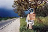 Untitled (Signs on Tree, Storm) by William Eggleston, circa 1970, Dye transfer print from Los Alamos , printed 2001, sold Oct 2015