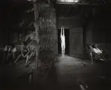 Sally Mann, Hayhook, 1989, Gelatin silver print