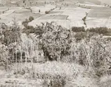 Emmet Gowin, Poggibonsi, Italy, 1978, Gelatin silver print