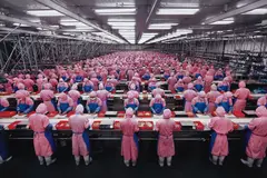 Edward Burtynsky, Manufacturing #17, Deda Chicken Processing Plant, Dehui City, Jilin Province, China, 2005, Fujicolor Crystal Archive print